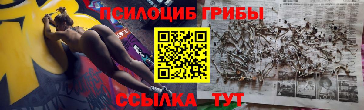 Галлюциногенные грибы GOLDEN TEACHER  Вход с VPN  Черногорск 